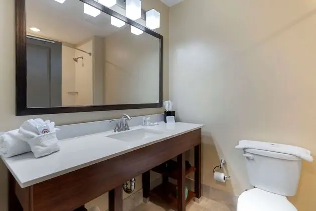 Süit, 1 En Büyük (King) Boy Yatak ve Çekyat, Engellilere Uygun, Sigara İçilmez (2 Person Sofa Bed)