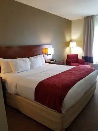 1 King Bed, Non Smoking, Jacuzzi Tub