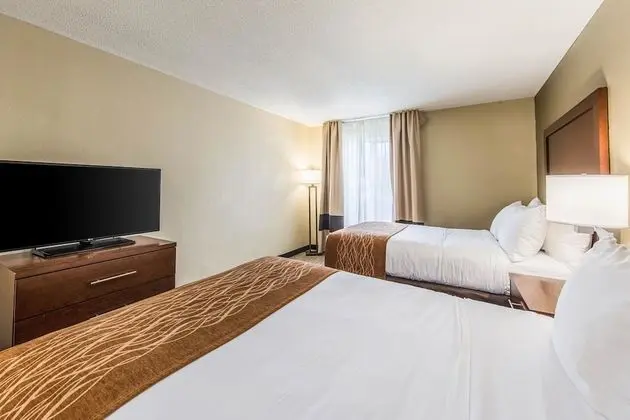 Süit, Birden Çok Yatak, Sigara İçilmez (2 Double and 1 Person Sofa Bed)