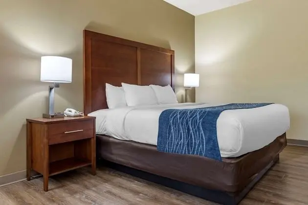 Süit, 1 En Büyük (King) Boy Yatak, Sigara İçilmez (1 Bedroom)