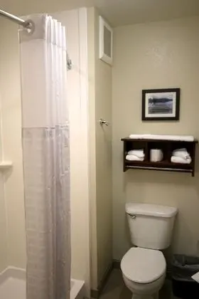 Standard Oda, 2 Büyük (Queen) Boy Yatak, Sigara İçilmez (Pet Friendly)