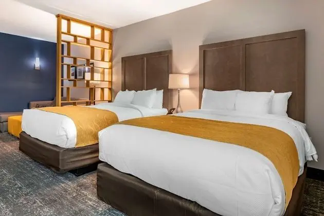 Deluxe Stüdyo Süit, Birden Çok Yatak, Sigara İçilmez