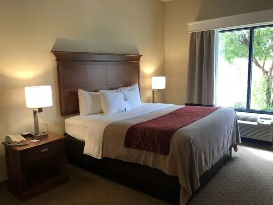 Basic Oda, 1 En Büyük (King) Boy Yatak, Engellilere Uygun, Sigara İçilmez