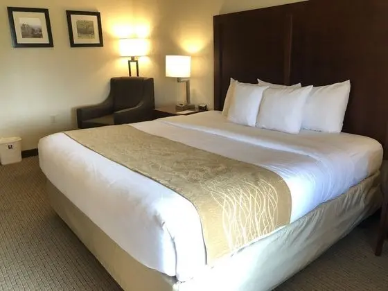 Basic Oda, 1 En Büyük (King) Boy Yatak, Engellilere Uygun, Sigara İçilmez