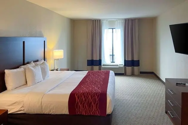 Basic Oda, 1 En Büyük (King) Boy Yatak, Engellilere Uygun, Sigara İçilmez