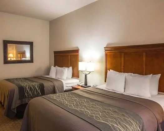 Basic Süit, Birden Çok Yatak, Engellilere Uygun, Sigara İçilmez