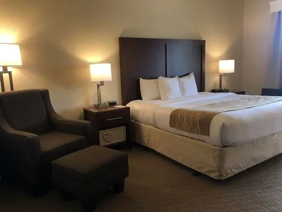 Basic Süit, Birden Çok Yatak, Engellilere Uygun, Sigara İçilmez