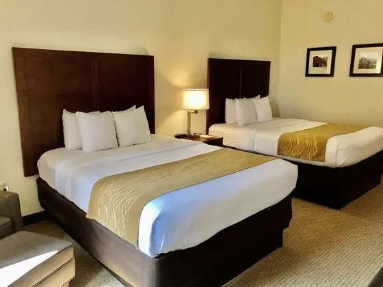 Basic Süit, Birden Çok Yatak, Engellilere Uygun, Sigara İçilmez