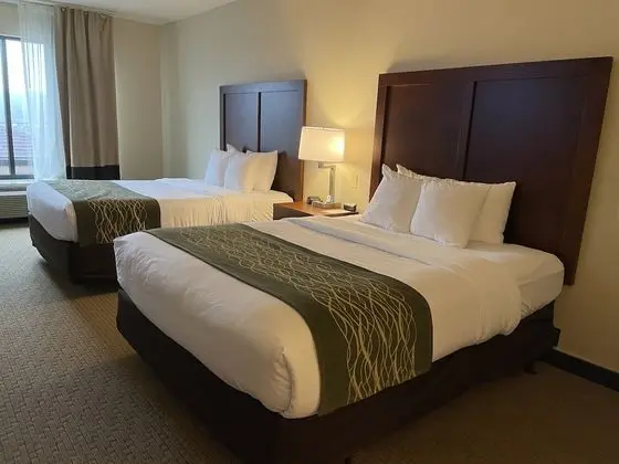 Basic Süit, Birden Çok Yatak, Engellilere Uygun, Sigara İçilmez