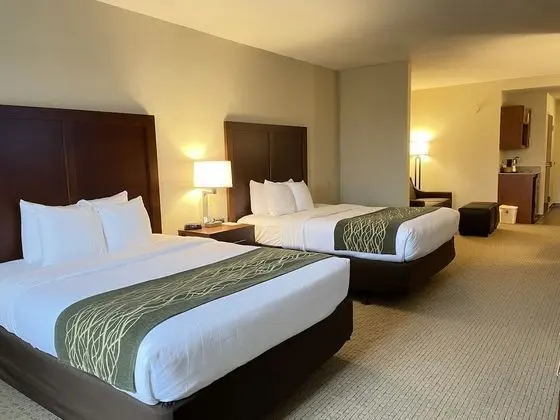 Basic Süit, Birden Çok Yatak, Engellilere Uygun, Sigara İçilmez