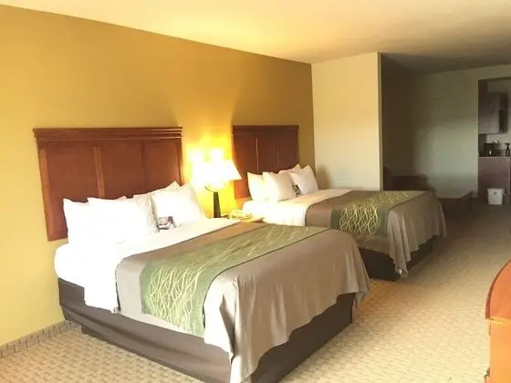 Basic Süit, Birden Çok Yatak, Engellilere Uygun, Sigara İçilmez