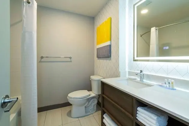 Standard Oda, 1 En Büyük (King) Boy Yatak ve Çekyat, Sigara İçilmez (Wet Bar)
