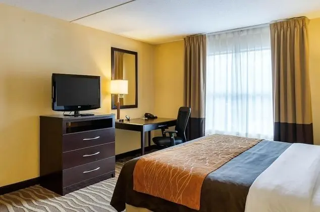 Oda, 1 En Büyük (King) Boy Yatak, Engellilere Uygun, Sigara İçilmez