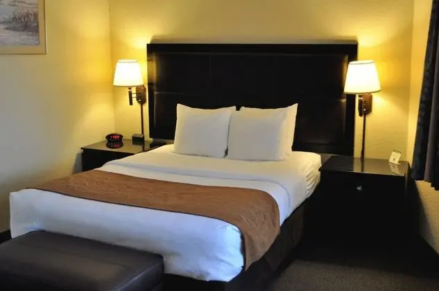Standard Oda (1 Single Bed)