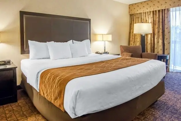 Standard Oda (1 Single Bed)