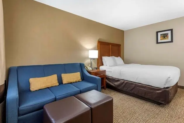 Standard Oda, 1 Büyük (Queen) Boy Yatak ve Çekyat, Sigara İçilmez (1 Person Sofa Bed)