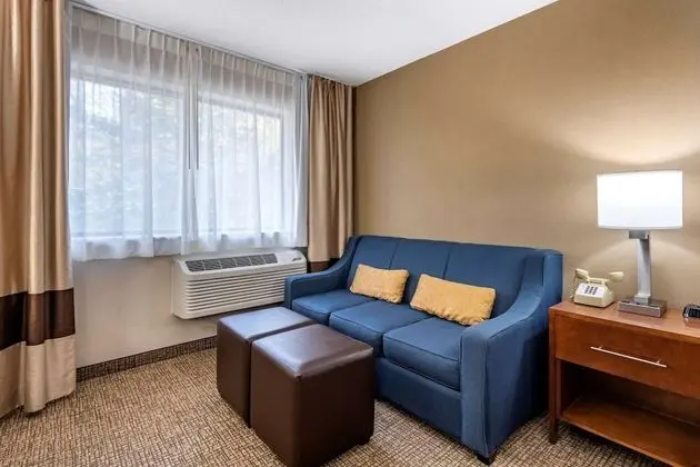 Standard Oda, 1 Büyük (Queen) Boy Yatak ve Çekyat, Sigara İçilmez (1 Person Sofa Bed)
