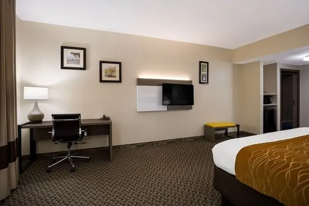 Standard Oda, 1 En Büyük (King) Boy Yatak, Sigara İçilmez