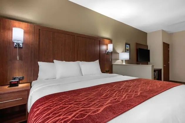 1 King Bed, Suite, Nonsmoking, Upgrade