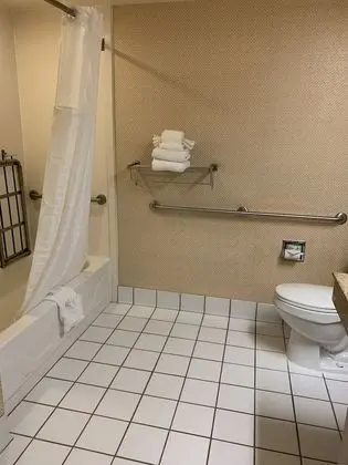 Oda, 1 En Büyük (King) Boy Yatak, Engellilere Uygun, Sigara İçilmez (Double Roll-In Shower)