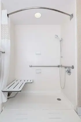 Oda, 1 En Büyük (King) Boy Yatak, Engellilere Uygun, Sigara İçilmez (Double Roll-In Shower)