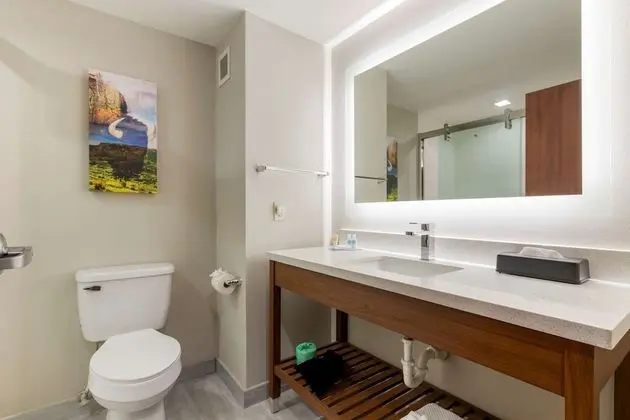 Oda, 1 En Büyük (King) Boy Yatak, Engellilere Uygun, Sigara İçilmez (Roll-in shower)