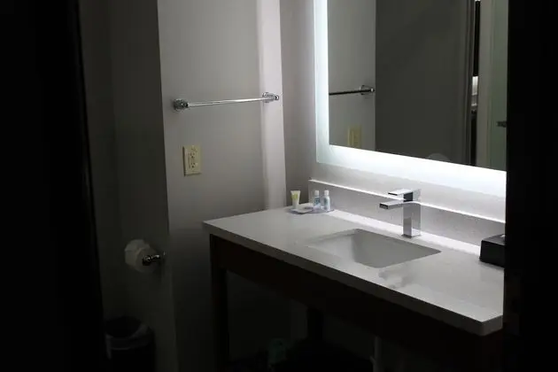 Oda, 1 En Büyük (King) Boy Yatak, Engellilere Uygun, Sigara İçilmez (Roll-in shower)
