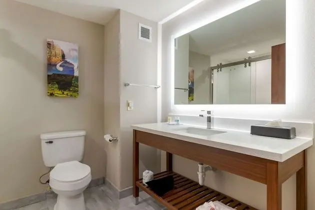 Oda, 1 En Büyük (King) Boy Yatak, Engellilere Uygun, Sigara İçilmez (Roll-in shower)