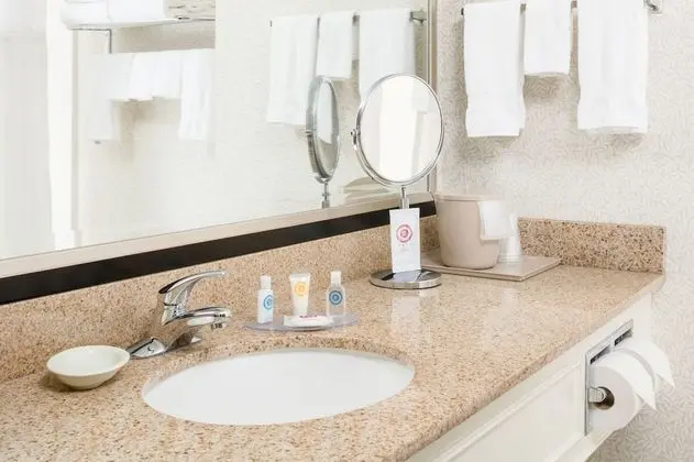 Oda, 1 En Büyük (King) Boy Yatak ve Çekyat, Engellilere Uygun, Sigara İçilmez (Roll-In Shower)