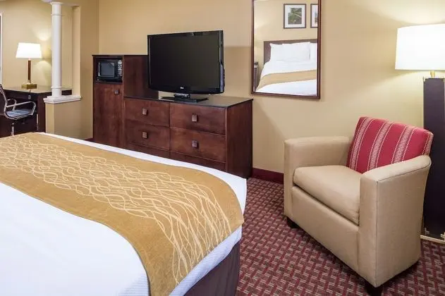 Oda, Birden Çok Yatak, Engellilere Uygun, Sigara İçilmez