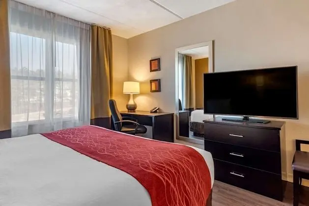 Süit, Birden Çok Yatak, Sigara İçilmez (2 Queen, 2 Person Sofa Bed)