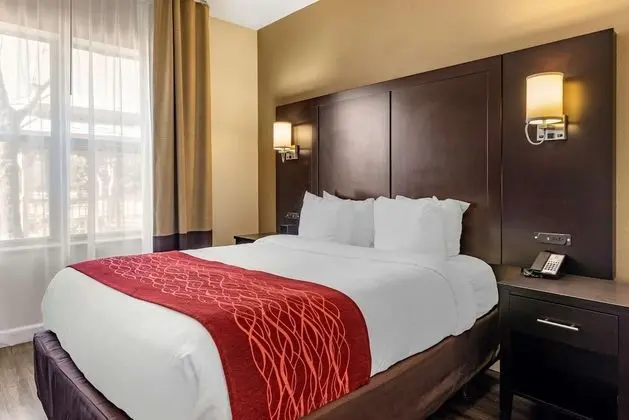 Süit, Birden Çok Yatak, Sigara İçilmez (2 Queen, 2 Person Sofa Bed)