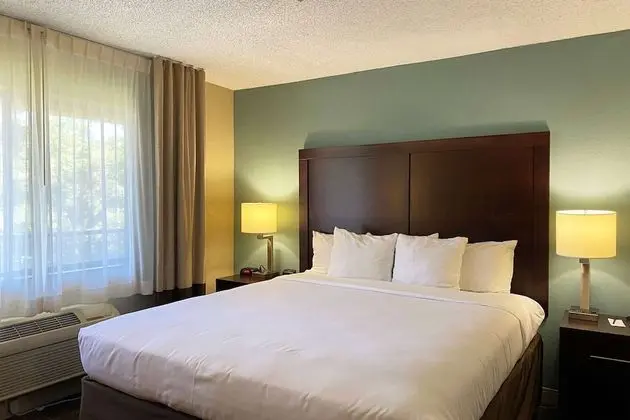 Süit, 1 En Büyük (King) Boy Yatak, Engellilere Uygun, Sigara İçilmez (1 King Bed)