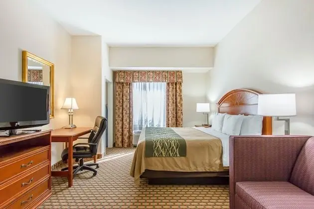 Business Süit, 1 En Büyük (King) Boy Yatak ve Çekyat, Sigara İçilmez (1 Person Sofa Bed)