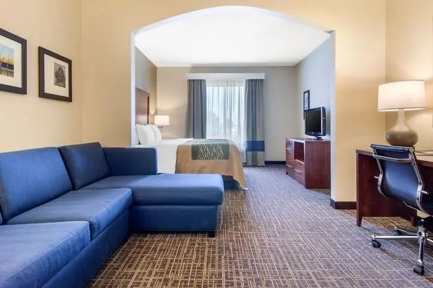 Business Süit, 1 En Büyük (King) Boy Yatak ve Çekyat, Sigara İçilmez (1 Person Sofa Bed)