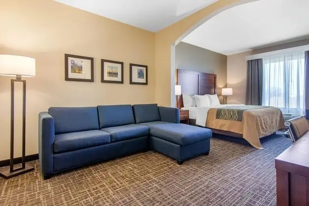 Business Süit, 1 En Büyük (King) Boy Yatak ve Çekyat, Sigara İçilmez (1 Person Sofa Bed)