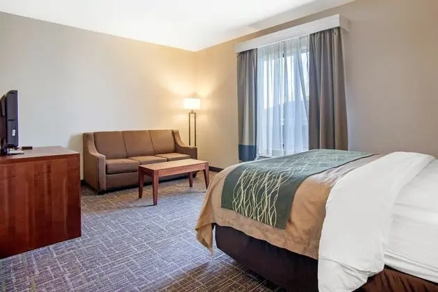 Business Süit, 1 En Büyük (King) Boy Yatak ve Çekyat, Sigara İçilmez (1 Person Sofa Bed)