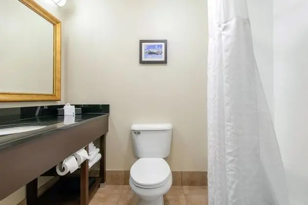 Business Süit, 1 En Büyük (King) Boy Yatak ve Çekyat, Sigara İçilmez (1 Person Sofa Bed)