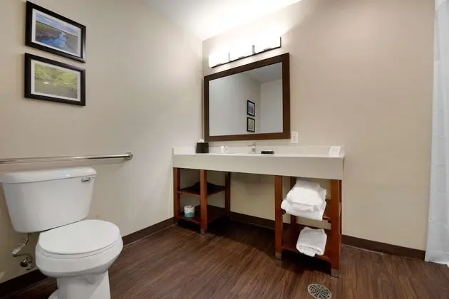 Oda, 2 Büyük (Queen) Boy Yatak, Engellilere Uygun, Sigara İçilmez (Accessible Tub)