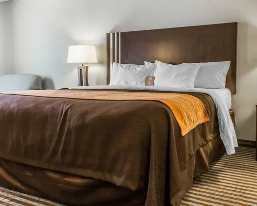 Standard Oda, 1 En Büyük (King) Boy Yatak, Sigara İçilmez