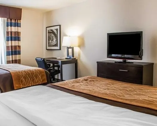 Standard Oda, 2 Büyük (Queen) Boy Yatak, Sigara İçilmez