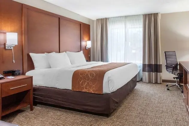 Standard Süit, 1 En Büyük (King) Boy Yatak, Sigara İçilmez