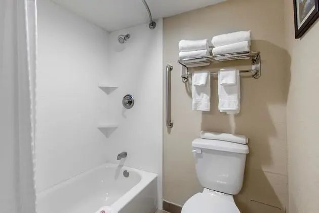 Standard Süit, 1 En Büyük (King) Boy Yatak, Sigara İçilmez