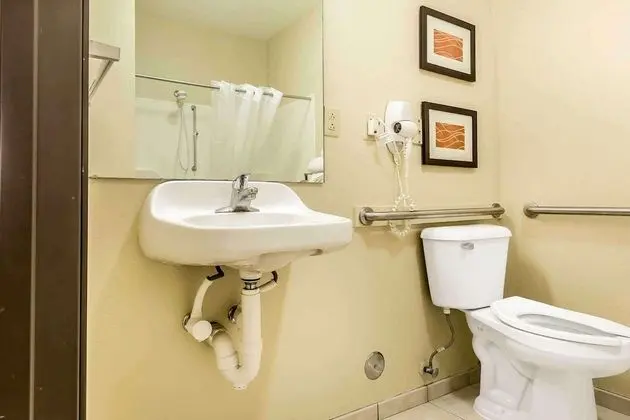 Oda, 1 En Büyük (King) Boy Yatak, Engellilere Uygun, Sigara İçilmez (Roll in Shower)