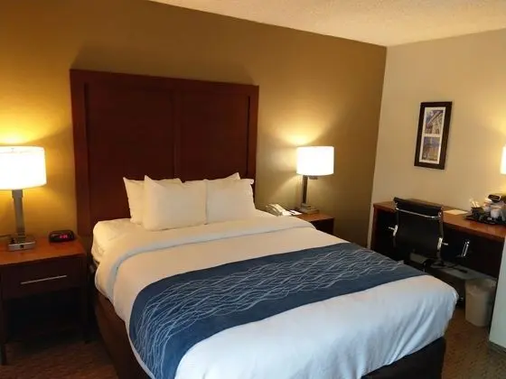 Standard Oda, 1 Büyük (Queen) Boy Yatak, Sigara İçilmez