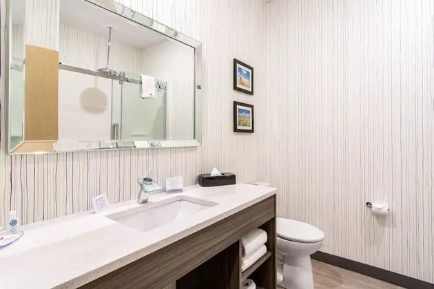 Süit, 1 En Büyük (King) Boy Yatak ve Çekyat, Sigara İçilmez (Sunken Bath Tub)