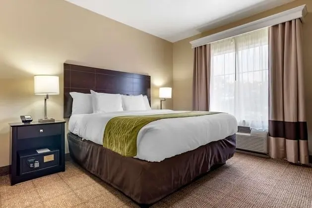 Suite, 1 King Bed, Non Smoking, Separate Seating Area and Wet Bar
