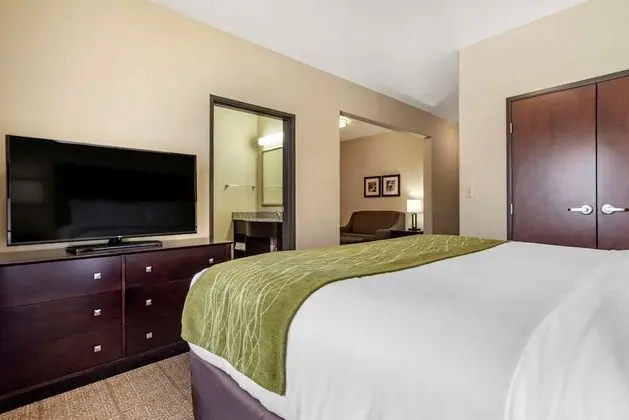 Suite, 1 King Bed, Non Smoking, Separate Seating Area and Wet Bar