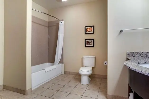 Suite, 1 King Bed, Non Smoking, Separate Seating Area and Wet Bar