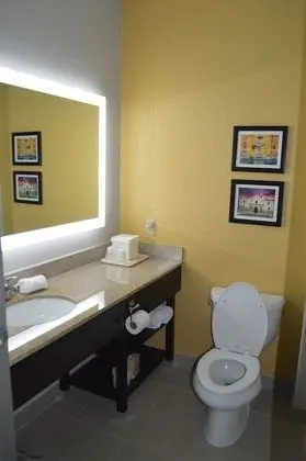 Oda, 1 En Büyük (King) Boy Yatak, Engellilere Uygun, Sigara İçilmez (Bathtub)